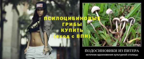 меф Богородицк
