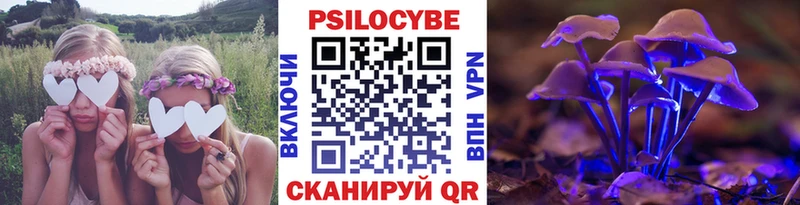 Галлюциногенные грибы Psilocybine cubensis  купить наркотик  гидра ТОР  Болгар 